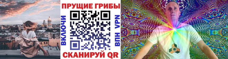 купить наркотики цена Азов ОМГ ОМГ ТОР Псилоцибиновые грибы Cubensis